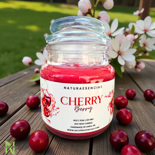 Velas de Temporada en Soya.